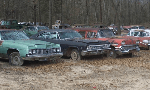Just some of the Impalas that Steve Brown has for sale.